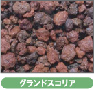 グランドスコリア