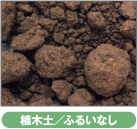 植木土/ふるいなし